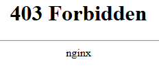 nginx 403 forbidden error testing